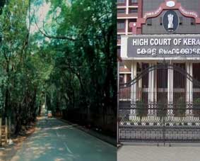 പൊലീസിന്റെ മൂക്കിന്റെ അടിയില്‍ നിന്നാണ് മൃതദേഹം ലഭിച്ചത്; ഒഴിഞ്ഞ സ്ഥലങ്ങളിൽ ഇങ്ങനെ എത്ര മൃതദേഹങ്ങൾ കിടപ്പുണ്ടാകും? സർക്കാരിനും പൊലീസിനുമെതിരെ രൂക്ഷ വിമർശനവുമായി ഹൈക്കോടതി