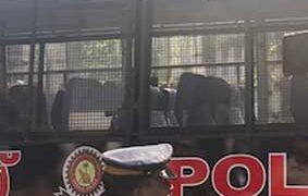 കോടതിയിൽ പൊട്ടിക്കരഞ്ഞ മാർട്ടിൻ കിടക്കേണ്ടത് 13 വർഷം കൂടി; ആദ്യം പുറത്തിറങ്ങുക പൾസർ സുനി, പ്രതികളുടെ ബാക്കിയുള്ള തടവ് ഇങ്ങനെ