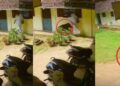 ഓഫീസിലേക്ക് കോളേജ് വരാന്തയിലൂടെ നടന്നു വരികയായിരുന്ന അധ്യാപകനു നേരെ പാഞ്ഞടുത്ത് കാട്ടുപന്നി, പൊടുന്നനെ ഒഴിഞ്ഞുമാറിയപ്പോൾ ബാലൻസ് കിട്ടാതെ പന്നി ചെന്നിടിച്ചത് ക്ലാസിന്റെ ചുമരിൽ, വിദ്യാർഥികളാരും പുറത്തില്ലാത്തതിനാൽ ഒഴിവായത് വൻ അപകടം