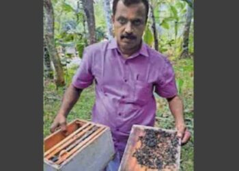 പാർട്ടിമാറി, ഉപജീവനത്തിൽ കൈവച്ച് പ്രതികാരം!! സിപിഐ വിട്ട് സിപിഎമ്മിൽ ചേർന്ന കർഷകൻറെ തേനീച്ച കൂട്ടിൽ വിഷദ്രാവകം സ്പ്രേ ചെയ്തു, നശിപ്പിക്കപ്പെട്ടത് മുൻ എംഎൽഎയുമായ ആർ ലതാദേവിയുടെ കുടുംബ വീട്ടിൽ കൃഷി ചെയ്ത കൂടുകൾ