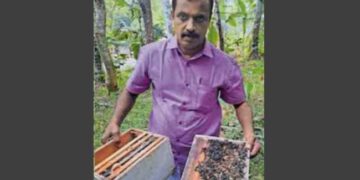 പാർട്ടിമാറി, ഉപജീവനത്തിൽ കൈവച്ച് പ്രതികാരം!! സിപിഐ വിട്ട് സിപിഎമ്മിൽ ചേർന്ന കർഷകൻറെ തേനീച്ച കൂട്ടിൽ വിഷദ്രാവകം സ്പ്രേ ചെയ്തു, നശിപ്പിക്കപ്പെട്ടത് മുൻ എംഎൽഎയുമായ ആർ ലതാദേവിയുടെ കുടുംബ വീട്ടിൽ കൃഷി ചെയ്ത കൂടുകൾ