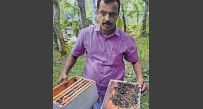 പാർട്ടിമാറി, ഉപജീവനത്തിൽ കൈവച്ച് പ്രതികാരം!! സിപിഐ വിട്ട് സിപിഎമ്മിൽ ചേർന്ന കർഷകൻറെ തേനീച്ച കൂട്ടിൽ വിഷദ്രാവകം സ്പ്രേ ചെയ്തു, നശിപ്പിക്കപ്പെട്ടത് മുൻ എംഎൽഎയുമായ ആർ ലതാദേവിയുടെ കുടുംബ വീട്ടിൽ കൃഷി ചെയ്ത കൂടുകൾ