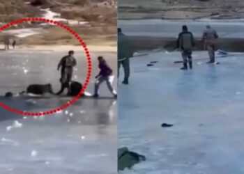 ഇറങ്ങരുതെന്ന മുന്നറിയിപ്പ് അവ​ഗണിച്ചു, അരുണാചലിൽ തണുത്തറുഞ്ഞ തടാകത്തിനു മീതെ നടക്കവെ അപകടം: കാണാതായ മലപ്പുറം സ്വദേശിയുടെ മൃതദേഹം കണ്ടെത്തി