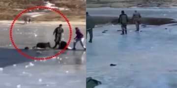 ഇറങ്ങരുതെന്ന മുന്നറിയിപ്പ് അവ​ഗണിച്ചു, അരുണാചലിൽ തണുത്തറുഞ്ഞ തടാകത്തിനു മീതെ നടക്കവെ അപകടം: കാണാതായ മലപ്പുറം സ്വദേശിയുടെ മൃതദേഹം കണ്ടെത്തി