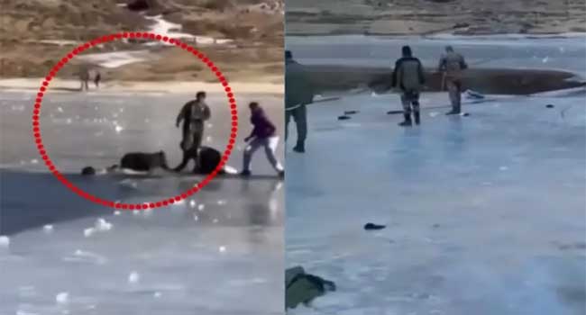 ഇറങ്ങരുതെന്ന മുന്നറിയിപ്പ് അവ​ഗണിച്ചു, അരുണാചലിൽ തണുത്തറുഞ്ഞ തടാകത്തിനു മീതെ നടക്കവെ അപകടം: കാണാതായ മലപ്പുറം സ്വദേശിയുടെ മൃതദേഹം കണ്ടെത്തി