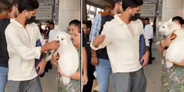 ശിവനെ പൊക്കിളിനു ചുറ്റും 14 ഇൻജക്ഷൻ, ജസ്റ്റ് മിസ്!! ആരാധികയുടെ കയ്യിലിരിക്കുന്ന നായയെ ഒന്നു കൊഞ്ചിക്കാൻ പോയതാ, കടികിട്ടാതെ രക്ഷപ്പെട്ടത് ഭാഗ്യം കൊണ്ട് ശ്രേയസ് അയ്യർ- വീഡിയോ