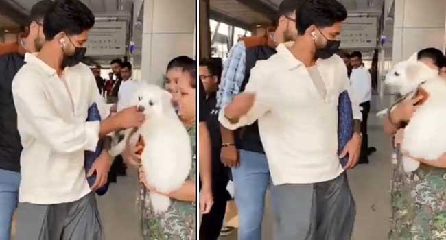 ശിവനെ പൊക്കിളിനു ചുറ്റും 14 ഇൻജക്ഷൻ, ജസ്റ്റ് മിസ്!! ആരാധികയുടെ കയ്യിലിരിക്കുന്ന നായയെ ഒന്നു കൊഞ്ചിക്കാൻ പോയതാ, കടികിട്ടാതെ രക്ഷപ്പെട്ടത് ഭാഗ്യം കൊണ്ട് ശ്രേയസ് അയ്യർ- വീഡിയോ