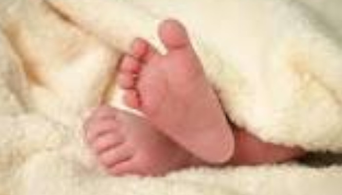 കാലു മുതല് തലവരെ 600 ഓളം സൂചി കുത്തിയ പാടുകള്, കഴുത്തില് സൂചിയുടെ ഭാഗം തറച്ചു നിന്ന നിലയില്, 10 മാസം പ്രായമുള്ള കുഞ്ഞ് ഏറ്റുവാങ്ങേണ്ടി വന്നത് കൊടിയ പീഡനങ്ങള്, അമ്മയ്ക്ക് കടുത്ത ശിക്ഷ നല്കണമെന്ന ആവശ്യം ശക്തം