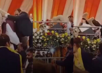 വേദിയിലേക്ക് കയറാന്‍ ശ്രമിക്കവെ ബാലന്‍സ് നഷ്ടപ്പെട്ടു, 69-ാം പിറന്നാള്‍ ആഘോഷത്തിനിടെ തലകീഴായി വീണ് ബ്രിജ് ഭൂഷണ്‍, സമൂഹമാധ്യമങ്ങളില്‍  പൊട്ടിച്ചിരിയും പരിഹാസവും