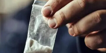 വാടക വീടെടുത്ത് ലഹരി ഉപയോഗം, ഡോക്ടറും വിദ്യാര്‍ത്ഥിനിയുമടക്കം ഏഴ് പേര്‍ അറസ്റ്റില്‍, ലഹരിയെത്തിച്ചത് ബംഗളൂരുവില്‍ നിന്നും