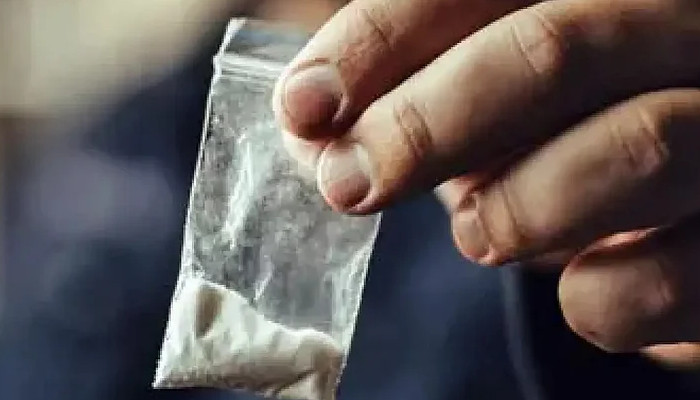 വാടക വീടെടുത്ത് ലഹരി ഉപയോഗം, ഡോക്ടറും വിദ്യാര്ത്ഥിനിയുമടക്കം ഏഴ് പേര് അറസ്റ്റില്, ലഹരിയെത്തിച്ചത് ബംഗളൂരുവില് നിന്നും