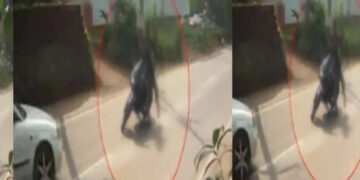 നടുറോഡില് ബൈക്ക് നിര്ത്തി വടിവാള് വീശി, സഹോദരങ്ങളെ ഇടിച്ച് തെറിപ്പിച്ച് കാര്, പിന്നില് സാമ്പത്തിക തര്ക്കം