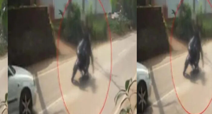 നടുറോഡില് ബൈക്ക് നിര്ത്തി വടിവാള് വീശി, സഹോദരങ്ങളെ ഇടിച്ച് തെറിപ്പിച്ച് കാര്, പിന്നില് സാമ്പത്തിക തര്ക്കം