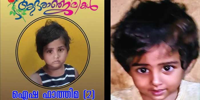 ശ്വാസം മുട്ടലിന് കയ്യിൽ രണ്ടു കുത്തിവെപ്പുകൾ എടുത്തു, പിന്നാലെ രണ്ടര വയസുകാരി ബോധരഹിതയായി, ഉടനെ നെയ്യാർ മെഡിസിറ്റിയിൽ എത്തിച്ചെങ്കിലും ജീവൻ‍ രക്ഷിക്കാനായില്ല!! മരിച്ചത് ഇരട്ടക്കുട്ടികളിൽ ഒരാൾ, ചികിത്സാപ്പിഴവെന്ന് കുടുംബം, കേസെടുത്തു