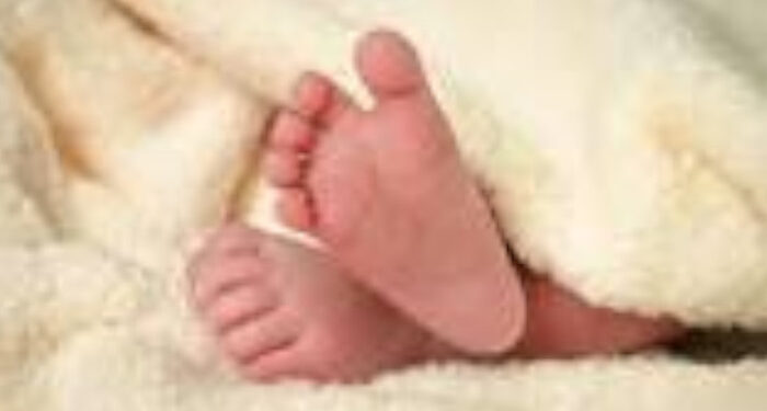 പുലർച്ചെ നാലിന് പ്രസവത്തിനായി പ്രവേശിപ്പിച്ചു, സിസേറിയന്‍ നടത്തിയത് ഉച്ചയ്ക്ക് രണ്ട് മണിക്ക്, ഗര്‍ഭസ്ഥ ശിശുവിന്റെ മരണത്തിന് കാരണം സിസേറിയന്‍ നടത്തിയതിലെ കാലതാമസം, ഡോക്ടര്‍ ബിന്ദുവിന് ഗുരുതര വീഴ്ചയെന്ന് റിപ്പോര്‍ട്ട്