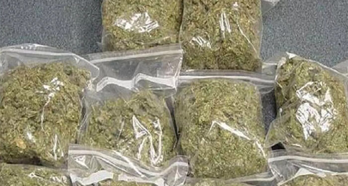 നടന്‍ ടിനി ടോമിന്റെ മകനും സുഹൃത്തുക്കളും കഞ്ചാവുമായി പിടിയില്‍, കണ്ടെത്തിയത് ചെറിയ പാക്കറ്റിലാക്കി പോക്കറ്റില്‍ ഒളിപ്പിച്ച നിലയില്‍