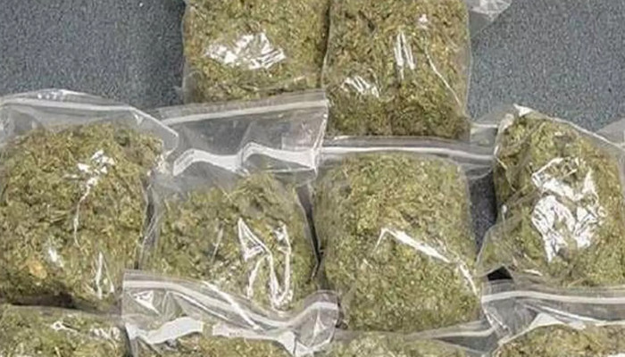 നടന് ടിനി ടോമിന്റെ മകനും സുഹൃത്തുക്കളും കഞ്ചാവുമായി പിടിയില്, കണ്ടെത്തിയത് ചെറിയ പാക്കറ്റിലാക്കി പോക്കറ്റില് ഒളിപ്പിച്ച നിലയില്