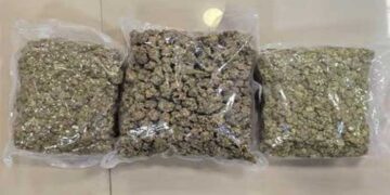 23 കോടി വിലവരുന്ന 23 കിലോ ഹൈഡ്രോപോണിക് കഞ്ചാവുമായി 6 മലയാളി യുവാക്കൾ ചെന്നെെയിൽ പിടിയിൽ, പിടിയിലായത് തായ്ലൻഡിൽ നിന്ന് രണ്ട് വിമാനങ്ങളിലായെത്തിയ ആറ് ഐടി ജീവനക്കാർ