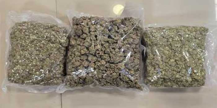 23 കോടി വിലവരുന്ന 23 കിലോ ഹൈഡ്രോപോണിക് കഞ്ചാവുമായി 6 മലയാളി യുവാക്കൾ ചെന്നെെയിൽ പിടിയിൽ, പിടിയിലായത് തായ്ലൻഡിൽ നിന്ന് രണ്ട് വിമാനങ്ങളിലായെത്തിയ ആറ് ഐടി ജീവനക്കാർ