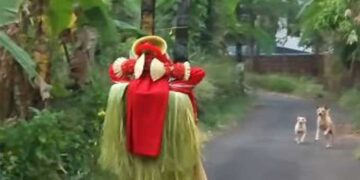 പുലർച്ചെ പെരുവാറ്റ് പാച്ചിൽ ചടങ്ങിന് ഏകനായിറങ്ങിയ തെയ്യത്തിനു മുന്നിലേക്ക് കുരച്ചുചാടി തെരുവുനായ്ക്കൾ… തെയ്യം അട്ടഹസിക്കുകയും ചിലമ്പ് കിലുക്കുകയും ചെയ്തതോടെ നായ്ക്കൾ തിരിഞ്ഞോടി…