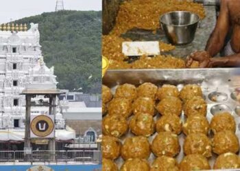 ഇങ്ങ് കേരളത്തിൽ സ്വർണക്കൊള്ള, അങ്ങ് ആന്ധ്രയിൽ ലഡ്ഡു കൊള്ള… രണ്ട് മുക്കലുകളും നടന്നത് കോവിഡ് കാലത്ത്, തിരുപ്പതി ലഡ്ഡുവിൽ ടോയ്റ്റ് ക്ലീനർ രാസവസ്തുക്കളോ? പുറത്തുവന്നത് 240-250 കോടിയുടെ തട്ടിപ്പ്