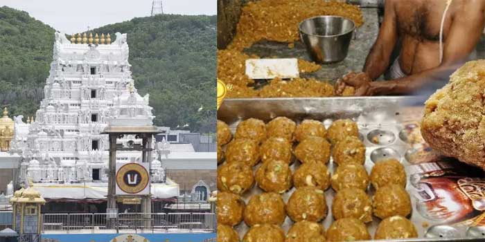 ഇങ്ങ് കേരളത്തിൽ സ്വർണക്കൊള്ള, അങ്ങ് ആന്ധ്രയിൽ ലഡ്ഡു കൊള്ള… രണ്ട് മുക്കലുകളും നടന്നത് കോവിഡ് കാലത്ത്, തിരുപ്പതി ലഡ്ഡുവിൽ ടോയ്റ്റ് ക്ലീനർ രാസവസ്തുക്കളോ? പുറത്തുവന്നത് 240-250 കോടിയുടെ തട്ടിപ്പ്