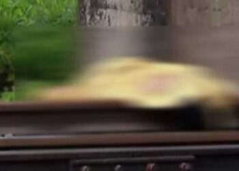 ട്രെയിനിടിച്ച് മരിച്ചെന്ന് വരുത്തി തീർക്കാൻ ട്രാക്കിലേക്ക് വലിച്ചി‌ട്ടു, പക്ഷെ ട്രാക്ക് മാറിപ്പോയി, ഇട്ടത് ഉപയോഗിക്കാതെ കിടന്ന ട്രാക്കിൽ!!ഹൈക്കോടതിയിൽ നിന്ന് വിരമിച്ച ഷാജിയും കൊല്ലപ്പെട്ട സുധയും സുഹൃത്തുക്കൾ, ഇടയ്ക്കിടയ്ക്ക് കാണാറുണ്ടായിരുന്ന പ്രതി സുധയെ വകവരുത്താനായി വിളിച്ചു വരുത്തി തല നിലത്തിടിപ്പിച്ച് കൊലപ്പെടുത്തി, കഴുത്ത് ഒടിഞ്ഞ നിലയിൽ