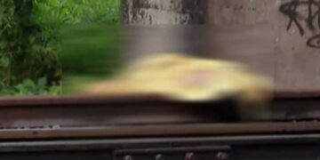 ട്രെയിനിടിച്ച് മരിച്ചെന്ന് വരുത്തി തീർക്കാൻ ട്രാക്കിലേക്ക് വലിച്ചി‌ട്ടു, പക്ഷെ ട്രാക്ക് മാറിപ്പോയി, ഇട്ടത് ഉപയോഗിക്കാതെ കിടന്ന ട്രാക്കിൽ!!ഹൈക്കോടതിയിൽ നിന്ന് വിരമിച്ച ഷാജിയും കൊല്ലപ്പെട്ട സുധയും സുഹൃത്തുക്കൾ, ഇടയ്ക്കിടയ്ക്ക് കാണാറുണ്ടായിരുന്ന പ്രതി സുധയെ വകവരുത്താനായി വിളിച്ചു വരുത്തി തല നിലത്തിടിപ്പിച്ച് കൊലപ്പെടുത്തി, കഴുത്ത് ഒടിഞ്ഞ നിലയിൽ