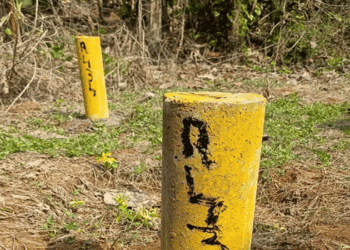 സിൽവർലൈൻ പദ്ധതി വെളിച്ചം കാണില്ല!  സ്ഥലമേറ്റെടുപ്പ് വിജ്ഞാപനം റദ്ദാക്കി; മഞ്ഞക്കുറ്റികൾ ഭൂ ഉടമകൾക്ക് നീക്കം ചെയ്യാം