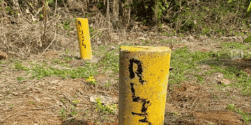 സിൽവർലൈൻ പദ്ധതി വെളിച്ചം കാണില്ല!  സ്ഥലമേറ്റെടുപ്പ് വിജ്ഞാപനം റദ്ദാക്കി; മഞ്ഞക്കുറ്റികൾ ഭൂ ഉടമകൾക്ക് നീക്കം ചെയ്യാം