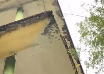 സര്‍ക്കാര്‍ സ്കൂളിന്റെ സണ്‍ഷെയ്ഡ്  പൊട്ടി തലയില്‍ വീണു, അധ്യാപികയ്ക്ക് പരിക്ക്, വിഷയം രഹസ്യമാക്കിവച്ച് അധികൃതര്‍, കെട്ടിടം നിര്‍മ്മിച്ചത് പത്ത് വര്‍ഷം മുമ്പ്, അപകടത്തിന് പിന്നില്‍ നിര്‍മ്മാണത്തിലെ പിഴവെന്ന് ആരോപണം