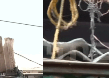 ​ദാ വീണ്ടും; വലിയങ്ങാടിയിൽ ഇരുപതിലധികം ഇതര സംസ്ഥാന തൊഴിലാളികൾ താമസിക്കുന്ന കെട്ടിടത്തിന്റെ സൺഷെയ്ഡാണ് അടർന്നുവീണു; ആർക്കും പരിക്കില്ല