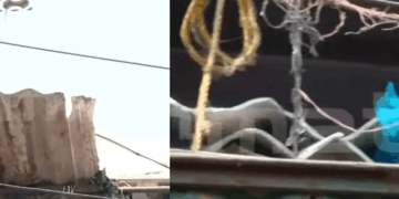 ദാ വീണ്ടും; വലിയങ്ങാടിയിൽ ഇരുപതിലധികം ഇതര സംസ്ഥാന തൊഴിലാളികൾ താമസിക്കുന്ന കെട്ടിടത്തിന്റെ സൺഷെയ്ഡാണ് അടർന്നുവീണു; ആർക്കും പരിക്കില്ല