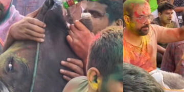 ഇവര്‍ക്ക് തലച്ചോറില്ലേ?? ഗോ സംരക്ഷകര്‍ എവിടെ പോയി?? ഹോളി ആഘോഷത്തിനിടെ പശുവിന്റെ വായ ബലമായി തുറന്ന് മദ്യം കുടിപ്പിച്ച് യുവാക്കള്‍, കയ്യടിച്ച് പ്രോത്സാഹിപ്പിച്ച് ആള്‍ക്കൂട്ടം, രൂക്ഷവിമര്‍ശനവുമായി സോഷ്യല്‍ മീഡിയ