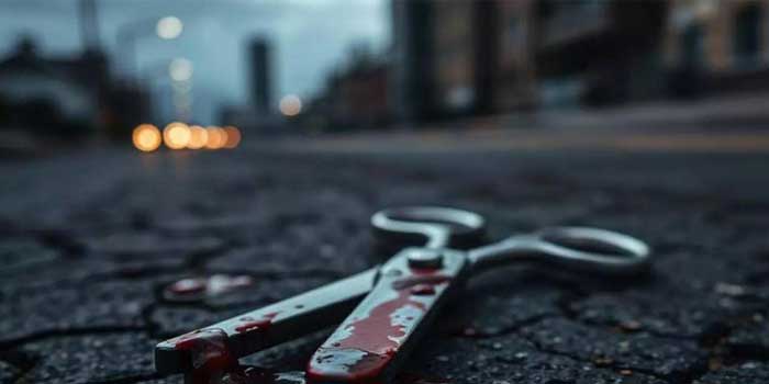 കുടുംബവഴക്ക്, മരുമകനെതിരെ പോലീസിൽ പരാതി നൽകാനിറങ്ങിയ അമ്മായിയമ്മയുടെ മൂക്ക് കത്രികയ്ക്ക് മുറിച്ചെടുത്ത് അതുമായി സ്ഥലം വിട്ട് യുവാവ്, കേസെടുത്ത് പോലീസ്