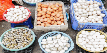 മുട്ടകളിൽ എക്സ്പിയറി ഡേറ്റ് നിർബന്ധമാക്കി ഉത്തർപ്രദേശ്;   മുട്ട ഇട്ട തിയതിയും പിന്നീട് 28 ദിവസം കഴിഞ്ഞുള്ള തിയ്യതിയുമാണ് രേഖപ്പെടുത്തേണ്ടത്