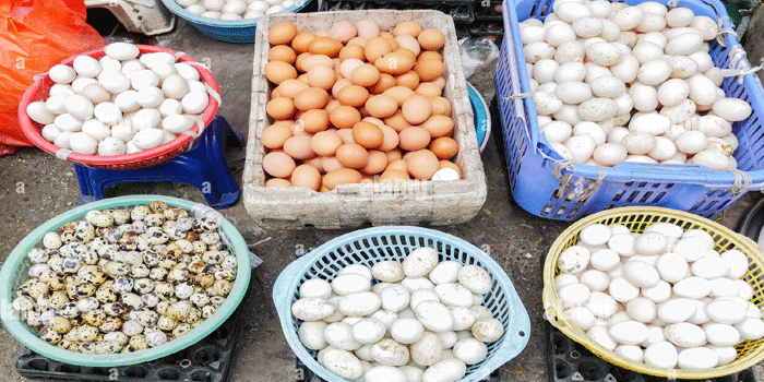 മുട്ടകളിൽ എക്സ്പിയറി ഡേറ്റ് നിർബന്ധമാക്കി ഉത്തർപ്രദേശ്;   മുട്ട ഇട്ട തിയതിയും പിന്നീട് 28 ദിവസം കഴിഞ്ഞുള്ള തിയ്യതിയുമാണ് രേഖപ്പെടുത്തേണ്ടത്