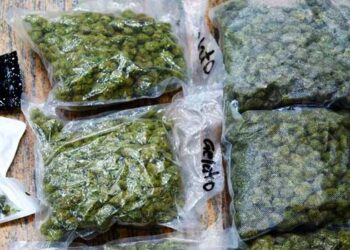 ‘ബാ​ഗിൽ കഞ്ചാവുണ്ട് പുറത്തുകടക്കാൻ സഹായിക്കണം’…വഴിയെ പോയ വയ്യാവേലിയെടുത്ത് തലയിൽ വച്ച് കണ്ണൂർ സ്വദേശി, ലഗേജിൽ ഒളിപ്പിച്ചുകടത്താൻ ശ്രമിച്ച 1.86 കോടിയുടെ ഹൈബ്രിഡ് കഞ്ചാവുമായി യുവ ഡോക്ടർമാർ കസ്റ്റംസ് പിടിയിൽ, ആനന്ദ് ജൂനിയറും സുഹൃത്തുമായ ലിബിൻദാസിനെ കണ്ടുമുട്ടിയത് എയർപോർട്ടിൽ വച്ച്