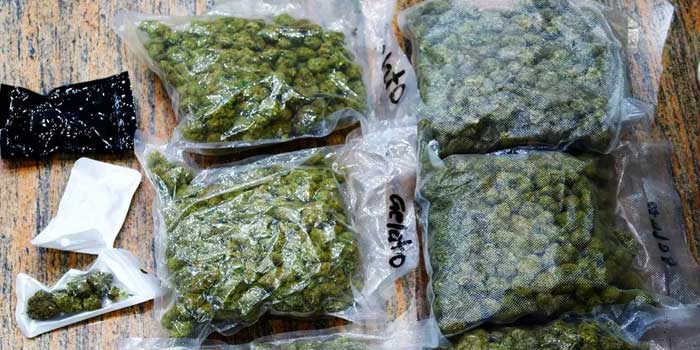 ‘ബാ​ഗിൽ കഞ്ചാവുണ്ട് പുറത്തുകടക്കാൻ സഹായിക്കണം’…വഴിയെ പോയ വയ്യാവേലിയെടുത്ത് തലയിൽ വച്ച് കണ്ണൂർ സ്വദേശി, ലഗേജിൽ ഒളിപ്പിച്ചുകടത്താൻ ശ്രമിച്ച 1.86 കോടിയുടെ ഹൈബ്രിഡ് കഞ്ചാവുമായി യുവ ഡോക്ടർമാർ കസ്റ്റംസ് പിടിയിൽ, ആനന്ദ് ജൂനിയറും സുഹൃത്തുമായ ലിബിൻദാസിനെ കണ്ടുമുട്ടിയത് എയർപോർട്ടിൽ വച്ച്