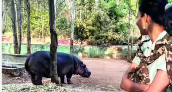 ഗര്‍ഭിണിയായ ഹിപ്പോപ്പൊട്ടാമസിന്റെ കടിയേറ്റ് ട്രെയിനി ഡോക്ടര്‍ക്ക് ദാരുണാന്ത്യം, മരിച്ചത് രക്തം വാര്‍ന്ന്, റിപ്പോര്‍ട്ട് തേടി വനം മന്ത്രി