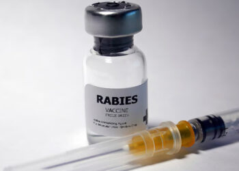 ശ്വാസം മുട്ടലിന് ചികിത്സക്കെത്തിയ 18കാരിക്ക് പേവിഷബാധയ്ക്കുള്ള വാക്‌സിന്‍ നല്‍കി, ശാസ്താംകോട്ട താലൂക്ക് ആശുപത്രിക്കെതിരെ വ്യാപക പ്രതിഷേധം, ഡ്യൂട്ടിയിലുണ്ടായ നഴ്സുമാര്‍ക്ക് സ്ഥലംമാറ്റം, അപകടകമില്ലെന്ന ന്യായീകരണവുമായി ഡോക്ടര്‍മാര്‍