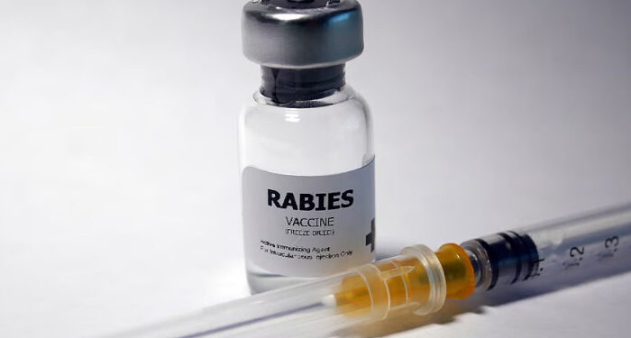 ശ്വാസം മുട്ടലിന് ചികിത്സക്കെത്തിയ 18കാരിക്ക് പേവിഷബാധയ്ക്കുള്ള വാക്‌സിന്‍ നല്‍കി, ശാസ്താംകോട്ട താലൂക്ക് ആശുപത്രിക്കെതിരെ വ്യാപക പ്രതിഷേധം, ഡ്യൂട്ടിയിലുണ്ടായ നഴ്സുമാര്‍ക്ക് സ്ഥലംമാറ്റം, അപകടകമില്ലെന്ന ന്യായീകരണവുമായി ഡോക്ടര്‍മാര്‍