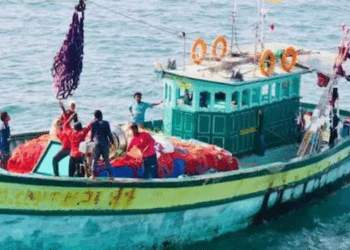 കനത്ത ചൂട്; തീരദേശത്ത് മത്സ്യലഭ്യത കുറയുന്നു; മത്തിയും കൊഴുവയുമൊന്നും കിട്ടാനില്ല; തൊഴിലാളികൾക്ക് തിരിച്ചടിയായി ഇന്ധന വില വർദ്ധനവും