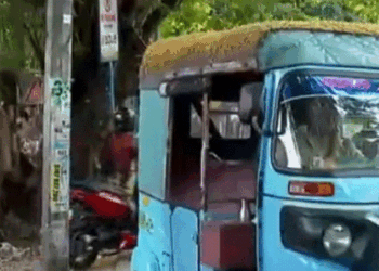 ചൂടിനെ തോൽപ്പിക്കാൻ ‘വെറൈറ്റി ഐഡിയ‘! ഓട്ടോറിക്ഷയ്ക്ക് മീതെ വൈക്കോൽ നിരത്തി ഡ്രൈവറുടെ പരീക്ഷണം; കോഴിക്കോട് മാനാഞ്ചിറയിൽ നിന്നുള്ള വ്യത്യസ്ത കാഴ്ച