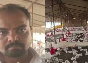 വിവാഹ ഘോഷയാത്രയ്ക്കിടെ കർണപടം അടിച്ചുപോകുന്ന രീതിയിൽ ഡിജെ ശബ്ദം!! അമിതസമ്മർദ്ദത്തിൽ സമീപത്തെ കോഴി ഫാമിലെ 140 കോഴികൾ ചത്തതായി ഫാം ഉടമയുടെ പരാതി, കേസെടുത്ത് പോലീസ്… ‘അത്യുച്ചത്തിലുള്ള ശബ്ദതരംഗങ്ങൾ പക്ഷികളിലും മൃഗങ്ങളിലുമുള്ള ഗുരുതര സമ്മർദ്ദ പ്രതികരണങ്ങൾക്കും ഹൃദയാഘാതത്തിനും കാരണമാകാം’- വിദ​ഗ്ദർ