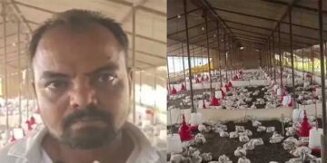 വിവാഹ ഘോഷയാത്രയ്ക്കിടെ കർണപടം അടിച്ചുപോകുന്ന രീതിയിൽ ഡിജെ ശബ്ദം!! അമിതസമ്മർദ്ദത്തിൽ സമീപത്തെ കോഴി ഫാമിലെ 140 കോഴികൾ ചത്തതായി ഫാം ഉടമയുടെ പരാതി, കേസെടുത്ത് പോലീസ്… ‘അത്യുച്ചത്തിലുള്ള ശബ്ദതരംഗങ്ങൾ പക്ഷികളിലും മൃഗങ്ങളിലുമുള്ള ഗുരുതര സമ്മർദ്ദ പ്രതികരണങ്ങൾക്കും ഹൃദയാഘാതത്തിനും കാരണമാകാം’- വിദ​ഗ്ദർ