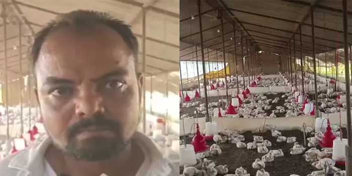 വിവാഹ ഘോഷയാത്രയ്ക്കിടെ കർണപടം അടിച്ചുപോകുന്ന രീതിയിൽ ഡിജെ ശബ്ദം!! അമിതസമ്മർദ്ദത്തിൽ സമീപത്തെ കോഴി ഫാമിലെ 140 കോഴികൾ ചത്തതായി ഫാം ഉടമയുടെ പരാതി, കേസെടുത്ത് പോലീസ്… ‘അത്യുച്ചത്തിലുള്ള ശബ്ദതരംഗങ്ങൾ പക്ഷികളിലും മൃഗങ്ങളിലുമുള്ള ഗുരുതര സമ്മർദ്ദ പ്രതികരണങ്ങൾക്കും ഹൃദയാഘാതത്തിനും കാരണമാകാം’- വിദ​ഗ്ദർ