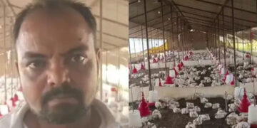 വിവാഹ ഘോഷയാത്രയ്ക്കിടെ ഉച്ചത്തില്‍ ഡി ജെ വച്ചു, ഫാമിലെ 140 കോഴികള്‍ ചത്തു, ഡി ജെ ഓപ്പറേറ്റര്‍ക്കെതിരെ കേസെടുത്ത് പൊലീസ്