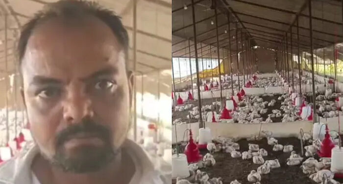 വിവാഹ ഘോഷയാത്രയ്ക്കിടെ ഉച്ചത്തില്‍ ഡി ജെ വച്ചു, ഫാമിലെ 140 കോഴികള്‍ ചത്തു, ഡി ജെ ഓപ്പറേറ്റര്‍ക്കെതിരെ കേസെടുത്ത് പൊലീസ്