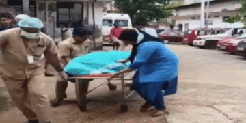 പെരുമ്പാവൂരിൽ രണ്ട് നഴ്‌സിങ് വിദ്യാർഥികൾ മുങ്ങിമരിച്ചു; ഒരാളുടെ നില ​ഗുരുതരം